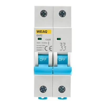 125A Aşırı Yük MCB